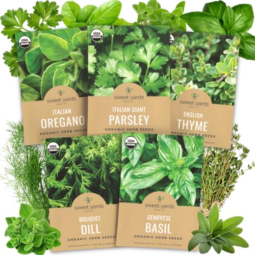 Organic Herb Seeds Variety Pack (5 Varieties - Essential Pack)