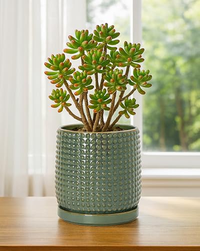 Beaded Ceramic Pot with Saucer (5.8 Inch / Olive)