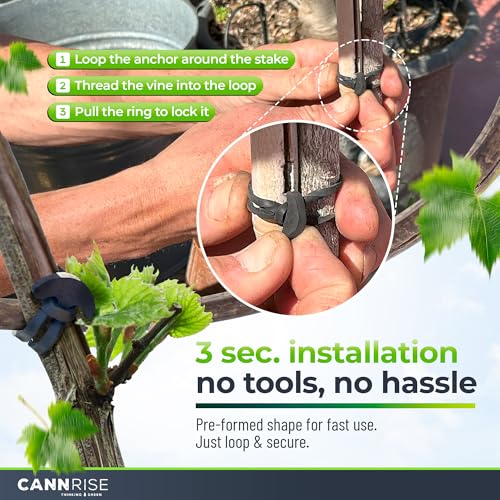 Anchor Bands for Trellising (70 Piece)