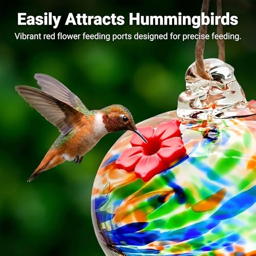 3in Glass Hummingbird Feeder Hanging Feeder with 2 Feeding Port for Outside (F)
