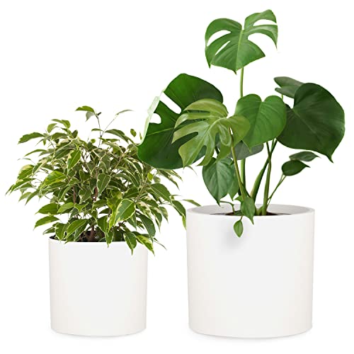 Large Planter for Indoor or Outdoor (Matte White / Set of 2: 12/14.6 Inch)