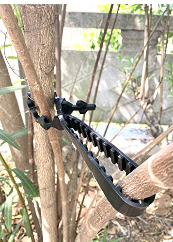 Tree Support Straps (10 Count)