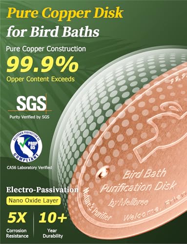 Bird Bath Copper Disc & Clean Set (Copper Clean Set)