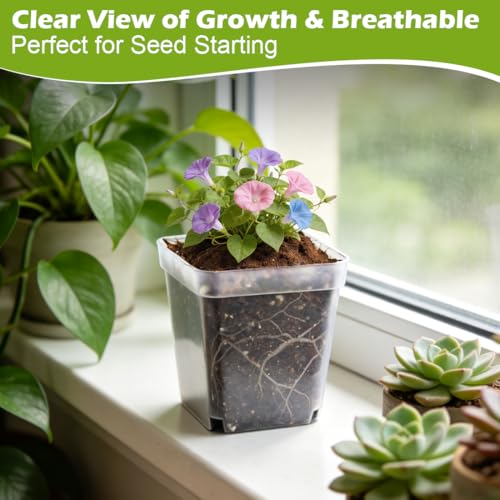 2.7 Inch Square Nursery Pots (Clear Pot+domes / 2.7" 60P)