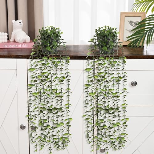 2Pcs Fake Hanging Plants with Pot (Eucalyptus Vines / 2Pcs Plants with Pot)