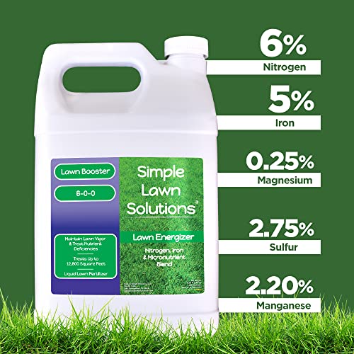 Commercial Grade Lawn Energizer (128 Fl Oz)