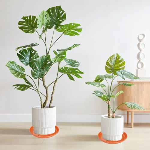 6 Pack of Plant Saucer 10 inch (10in*6 / Red)