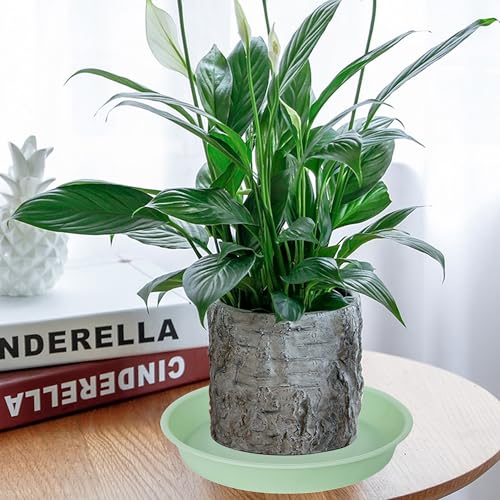6 Pack Plastic Plant Saucer Water Drip Tray