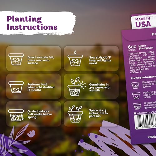 600 Marsh Blazing Star Heirloom Flower Seeds for Planting