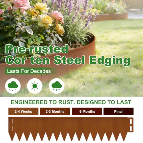 Cor Ten Steel Landscape Edging 20FT (Rusty / 5 Inch x 20Ft.)