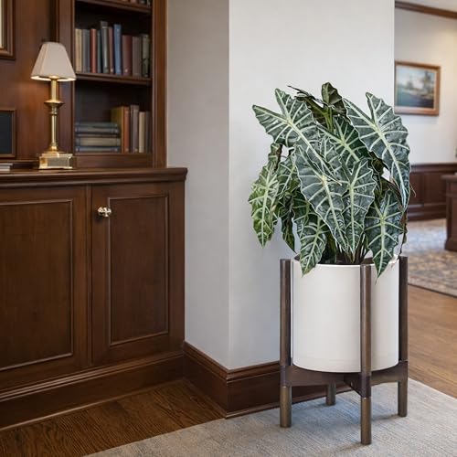 Plastic Pot with Walnut Wood Stand (Oatmeal Pot + Walnut Color Stand / 10 Inch)