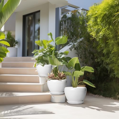 10+8+6 Inch Ceramic Planter (10+8+6 Inch / White)