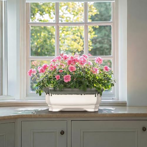 Bonsai Tree Pots 13.7 Inch (13.5 Inch / Rectangular Beige-grey)