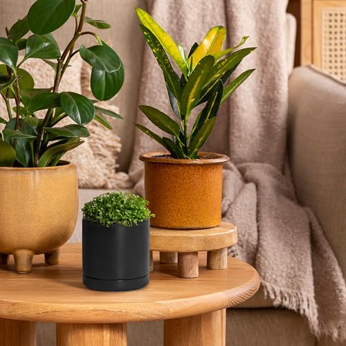 2 Pack Ceramic Pots with Saucers (2 Count)