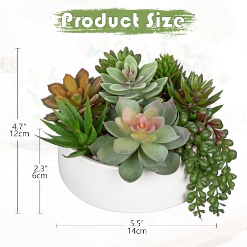 Artificial Succulent Plants in Pot 5.5 Inch Fake Succulents Arrangement (White Ceramic#style 2)