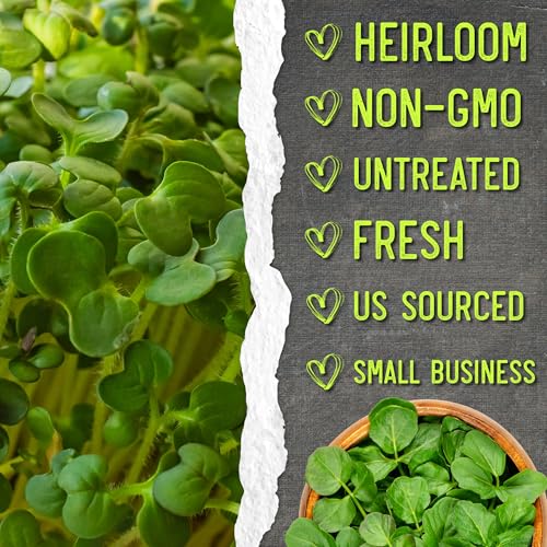 Watercress Seeds to Plant Heirloom Non (2 Packs)