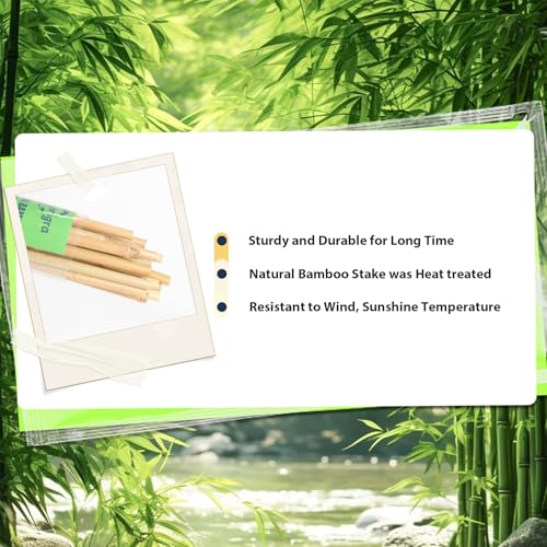 50pcs Bamboo Stakes 7FT (7FT, Pack of 50)