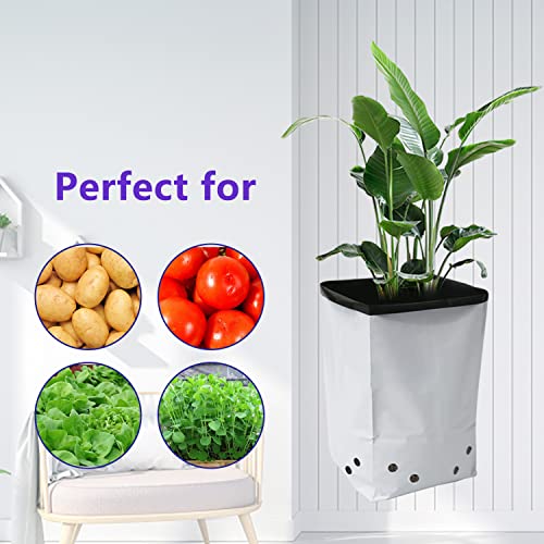 R Plastic Grow Bag Planters Panda Film Black and White for Nursery Horticulture 5 Gallon (5 Gallon - 25pcs)