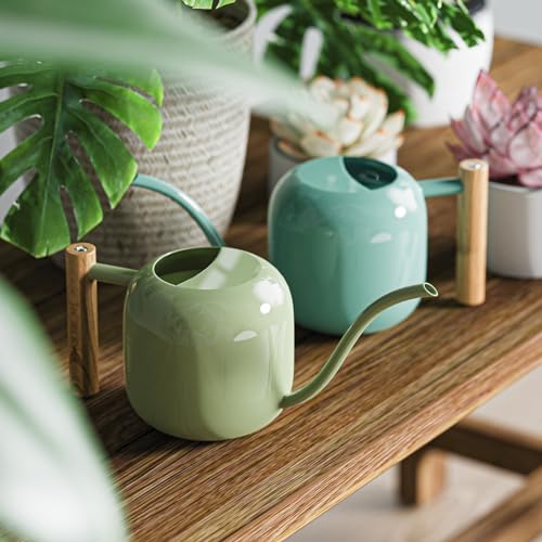 1.2L 41oz Metal Metal Watering Can with Long Spout