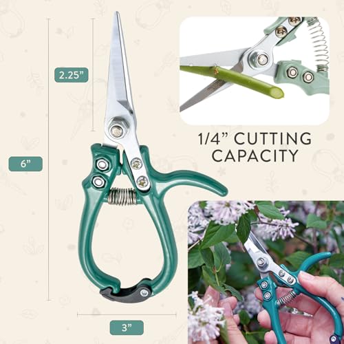 Pruning Shears (Ocean)