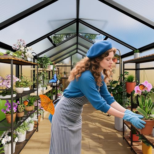 6x6 FT Greenhouse for Outdoors (Black / 6x6 FT)