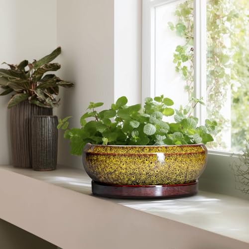Succulent Pots Large (13 Inch / Leopard Yellow)
