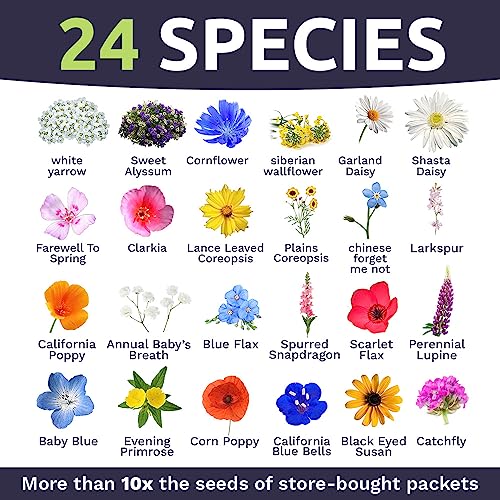 California Wildflower Mixture (4 Ounce)