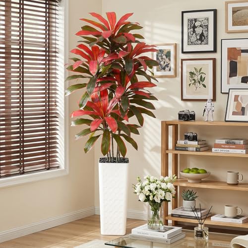 Artificial Dracaena Tree (Burgundy – White Pot / 7FT)