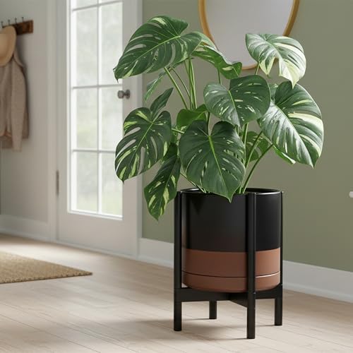 Ceramic Pot with Ebony Wood Stand (14 Inch / Black/Speckled Tan Pot + Ebony Stand)