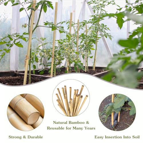Plant Stakes 18inch (20 Count)