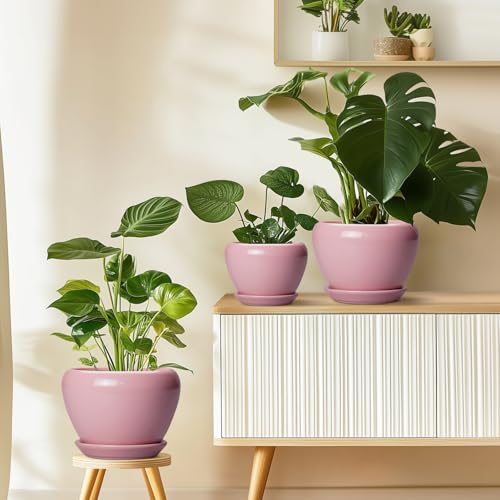10 Inch Plant Pot (10 Inch / Pink)