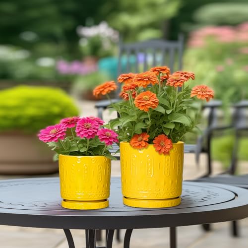 Ceramic Pots for Plants (10 Inch / Yellow)