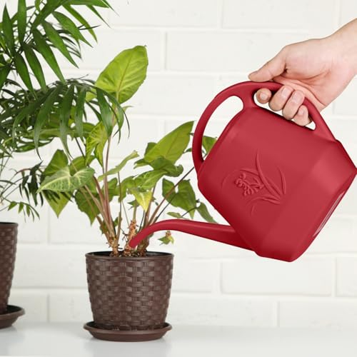Hand Watering Can (Wine Red)