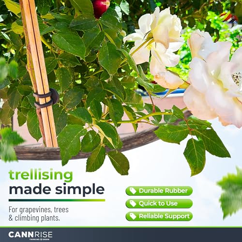 Anchor Bands for Trellising (70 Piece)