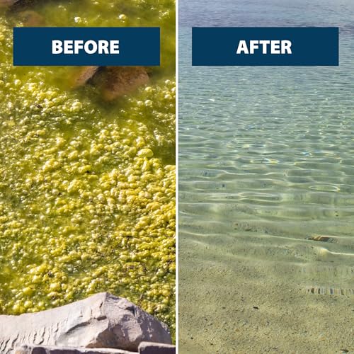 EasyKlear Pond & Lake Algae & Weed Control Herbicide (60 lbs / EasyKlear Defense)