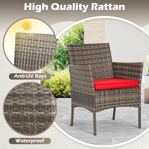 4 Piece Patio Furniture Set (Gray and Red / 4-Piece)