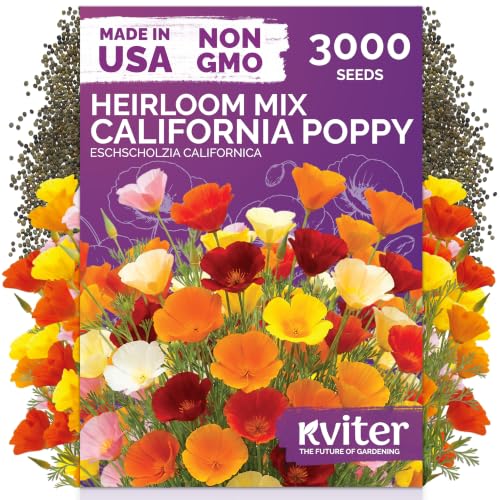 3 000 California Poppy Mix Heirloom Flower Seeds