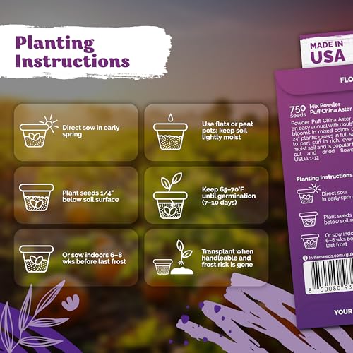 750 Mix Powder Puff China Aster Annual Flower Seeds