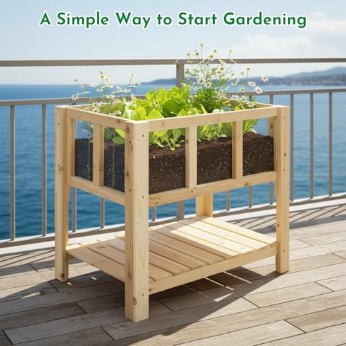 Raised Garden Bed with Transparent Acrylic Side Panels (28" x 15"x 24")