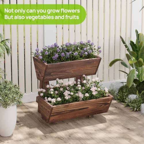 Vertical Garden Planter 2 tier Raised Garden Bed Tiered Wood Planter Box (Carbonized / 2-Tier-Small)