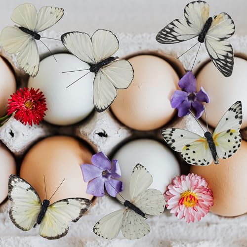 Artificial Feather 3D Butterfly Party Decorations Set of 12 with Clip 6 Color Ornaments for Christmas Tree (D Clip)