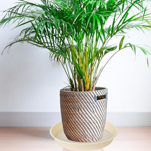 6 Pack of 7 inch Plant Saucer Clear (7" (6 pack) / Beige)