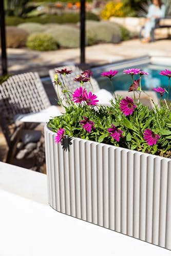 Demi Series Window Box Planter (2 Count)