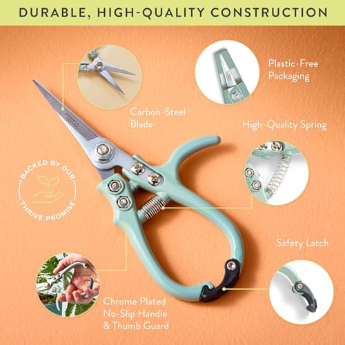 Pruning Shears (Multicolor - 12pcs)