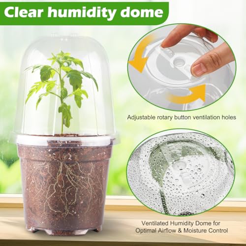 6 Inch Clear Nursery Pots with Humidity Dome (6 Inch Clear Pots With Domes-30p / 6Inch)