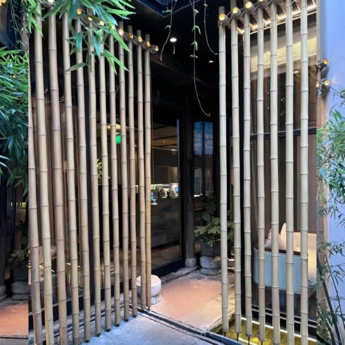 Natural Bamboo Plant Stake (93in-10PCS)