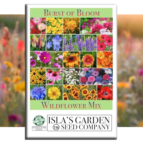 Burst of Bloom Wildflower Seed Mix (2500 Count)