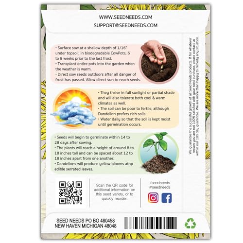 Dandelion Seeds to Plant Heirloom & Non (2 Packs)