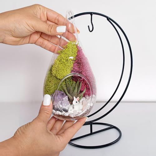7" Teardrop Glass Terrarium Kit DIY Succulent Décor