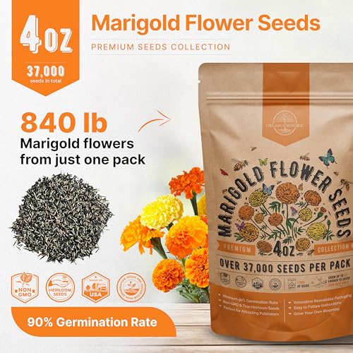 Marigold Seeds Pack 4 oz